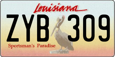 LA license plate ZYB309