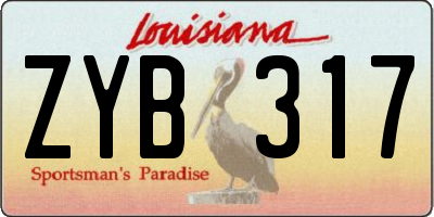 LA license plate ZYB317