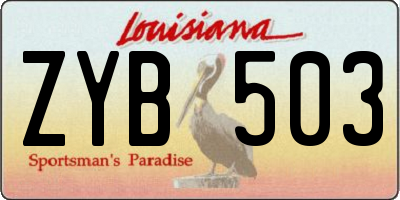 LA license plate ZYB503