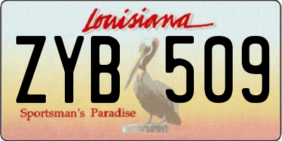 LA license plate ZYB509