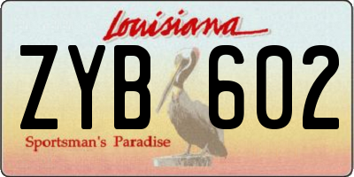 LA license plate ZYB602