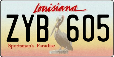 LA license plate ZYB605