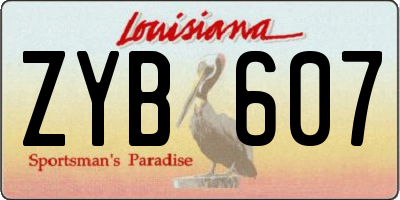LA license plate ZYB607