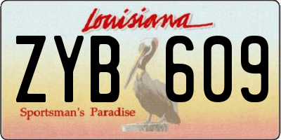 LA license plate ZYB609