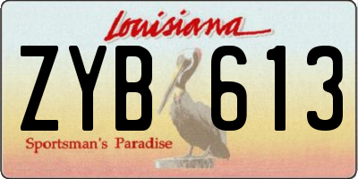 LA license plate ZYB613