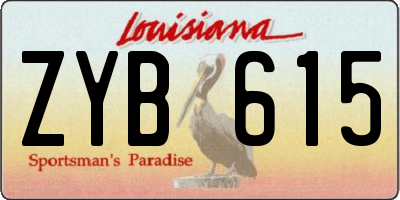 LA license plate ZYB615