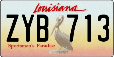 LA license plate ZYB713