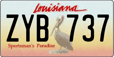 LA license plate ZYB737