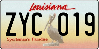 LA license plate ZYC019