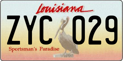 LA license plate ZYC029