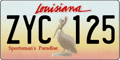 LA license plate ZYC125