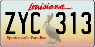 LA license plate ZYC313