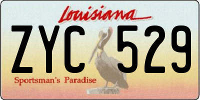LA license plate ZYC529