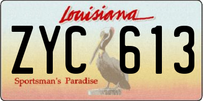 LA license plate ZYC613