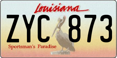 LA license plate ZYC873