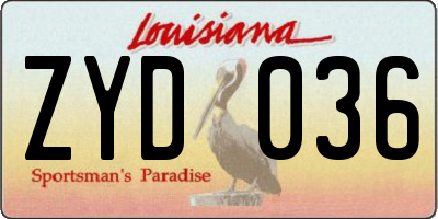 LA license plate ZYD036
