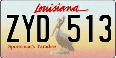 LA license plate ZYD513