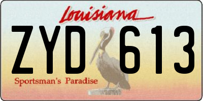 LA license plate ZYD613