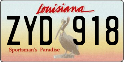 LA license plate ZYD918