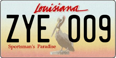 LA license plate ZYE009