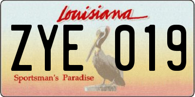 LA license plate ZYE019