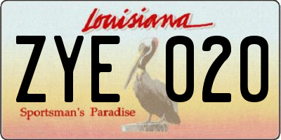 LA license plate ZYE020