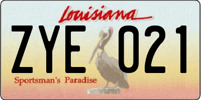 LA license plate ZYE021