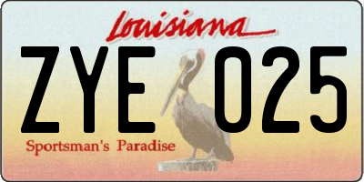 LA license plate ZYE025