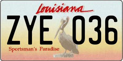 LA license plate ZYE036