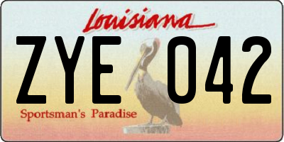 LA license plate ZYE042