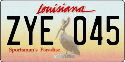 LA license plate ZYE045