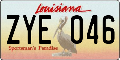 LA license plate ZYE046