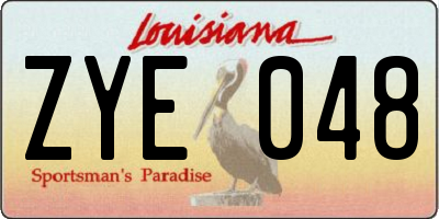 LA license plate ZYE048