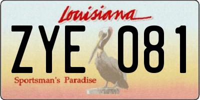 LA license plate ZYE081