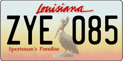 LA license plate ZYE085