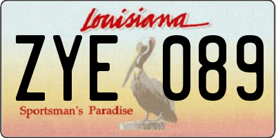 LA license plate ZYE089