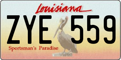 LA license plate ZYE559