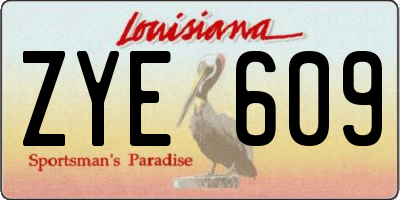LA license plate ZYE609