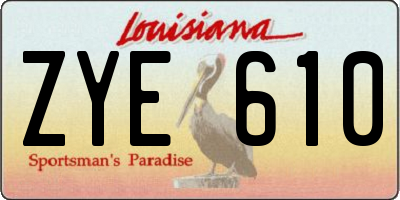 LA license plate ZYE610