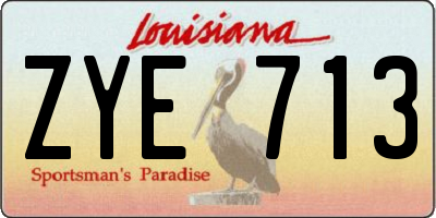 LA license plate ZYE713