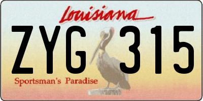 LA license plate ZYG315
