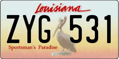 LA license plate ZYG531