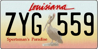 LA license plate ZYG559