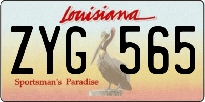 LA license plate ZYG565