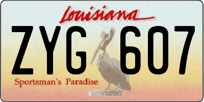 LA license plate ZYG607