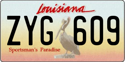 LA license plate ZYG609
