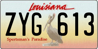 LA license plate ZYG613