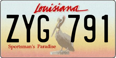 LA license plate ZYG791