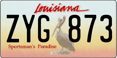 LA license plate ZYG873