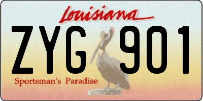 LA license plate ZYG901